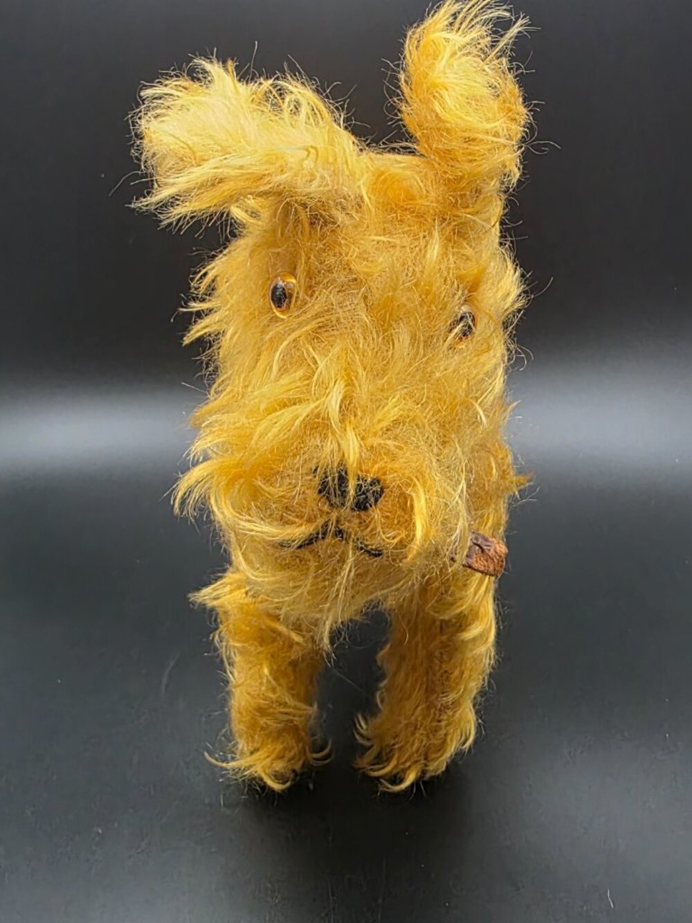 Vintage Mohair terrior Dog 11" Straw Stuffed Glass Eyes leather collar 1920s